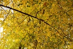 Природа