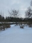 Лошицкий парк